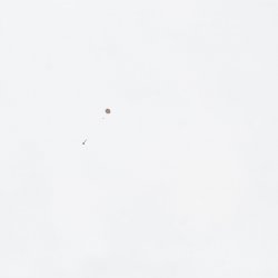 2013 Suche 29062013 Michal